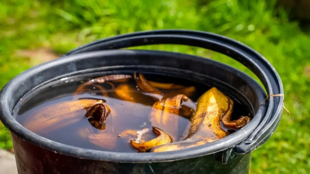 Homemade Fertilizer For Plants