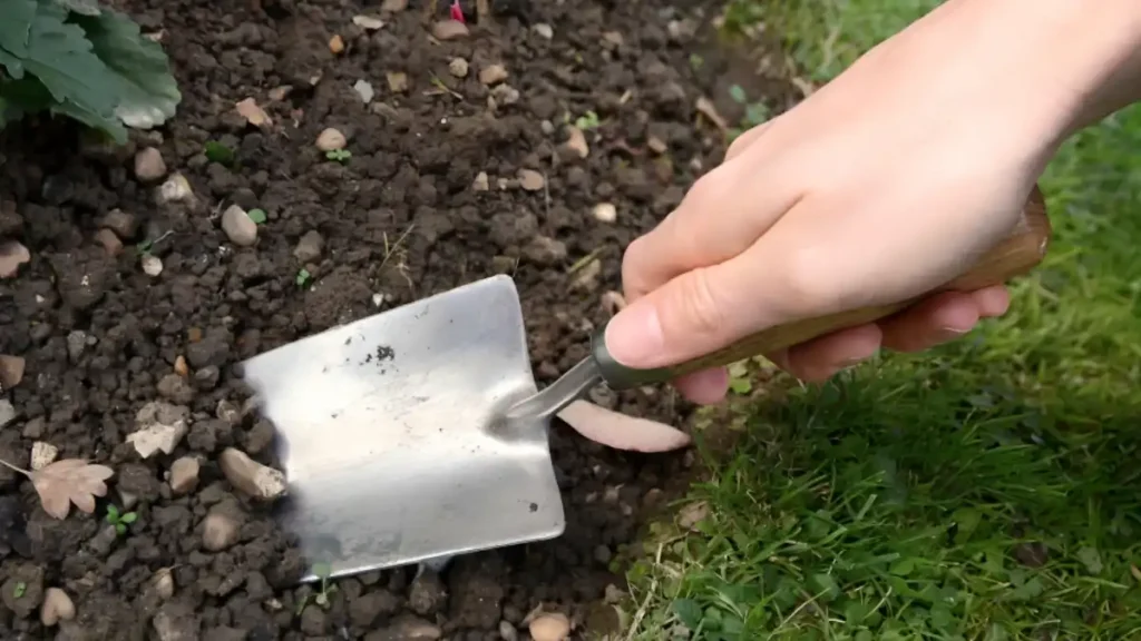 Different types of soil