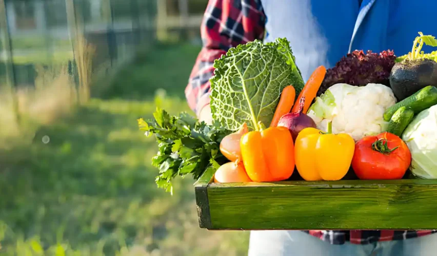 What to plant in march