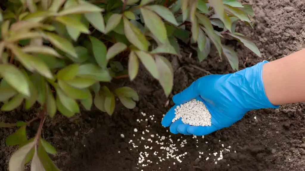 Agriculture Fertilizer