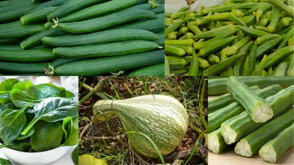 10 summer vegetables name