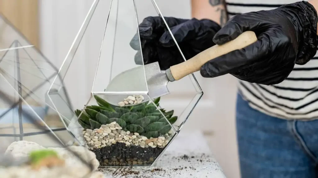 How to make a terrarium