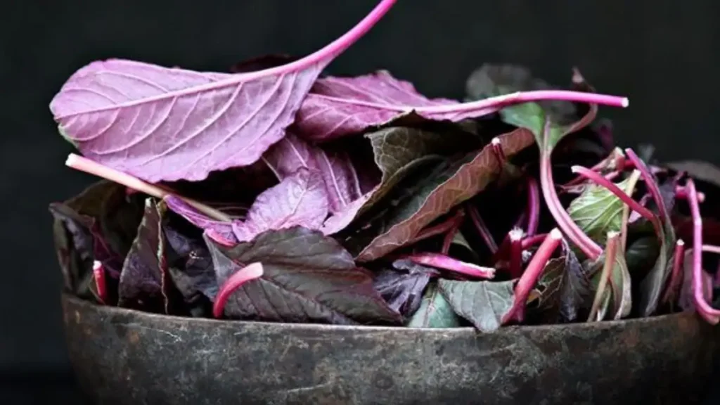 Red amaranth leaves