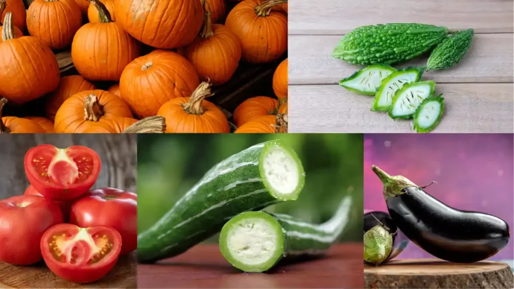 Summer vegetables in bangladesh
