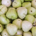 Java apple