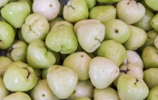 Java apple