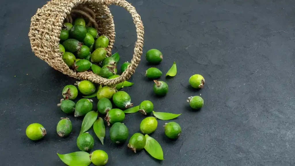 Lemon cultivation
