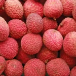 Lychee