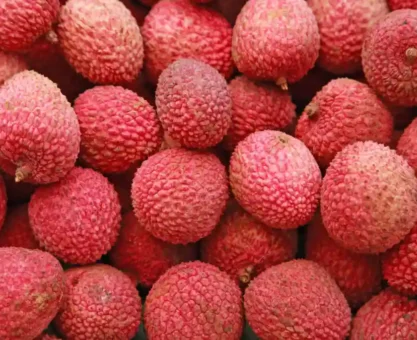 Lychee