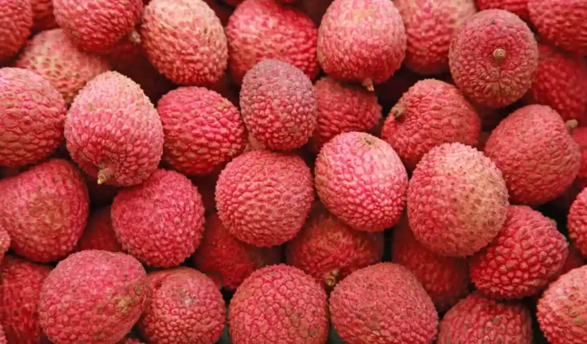 Lychee