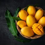 Mango tree