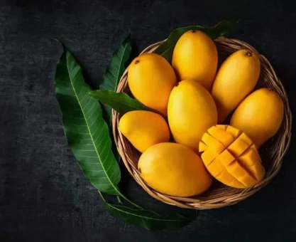 Mango tree