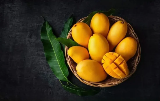 Mango tree