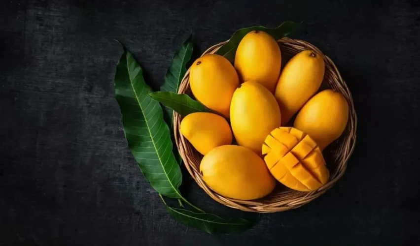 Mango tree