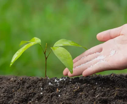 Organic fertilizer