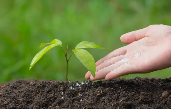 Organic fertilizer
