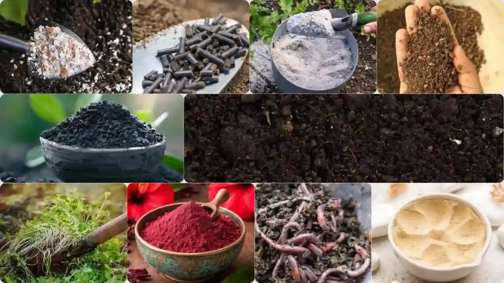 Organic fertilizer names list