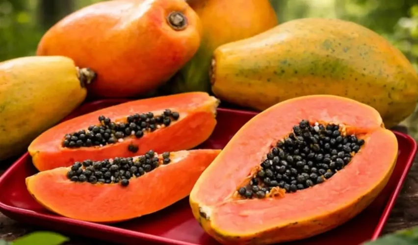 Papaya