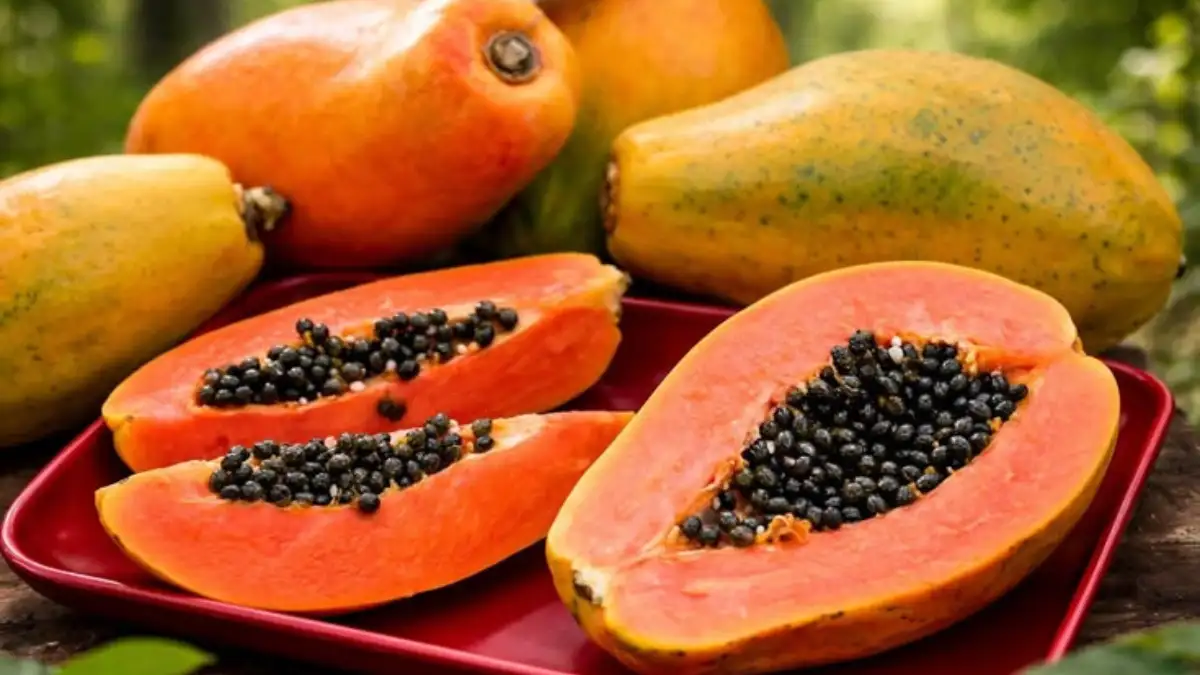 Papaya