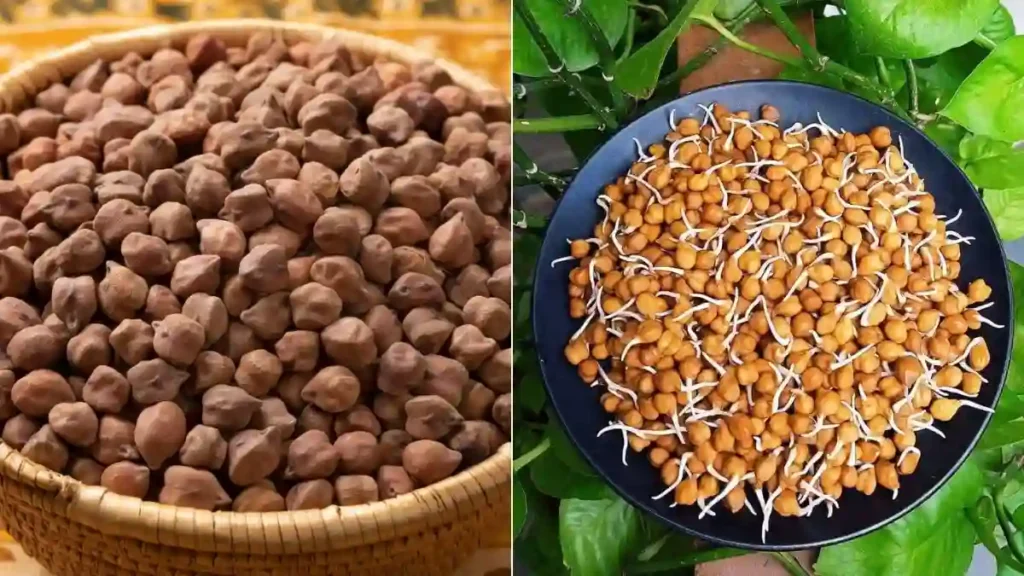 Raw chickpeas