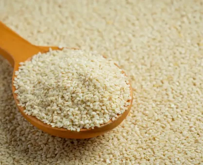Sesame
