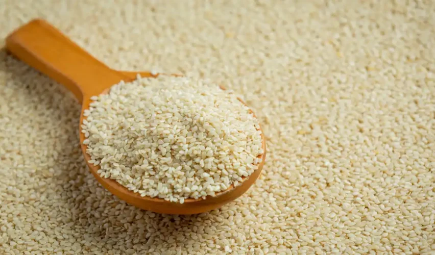 Sesame