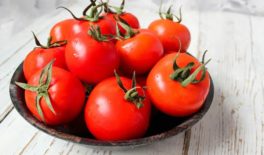 Tomato