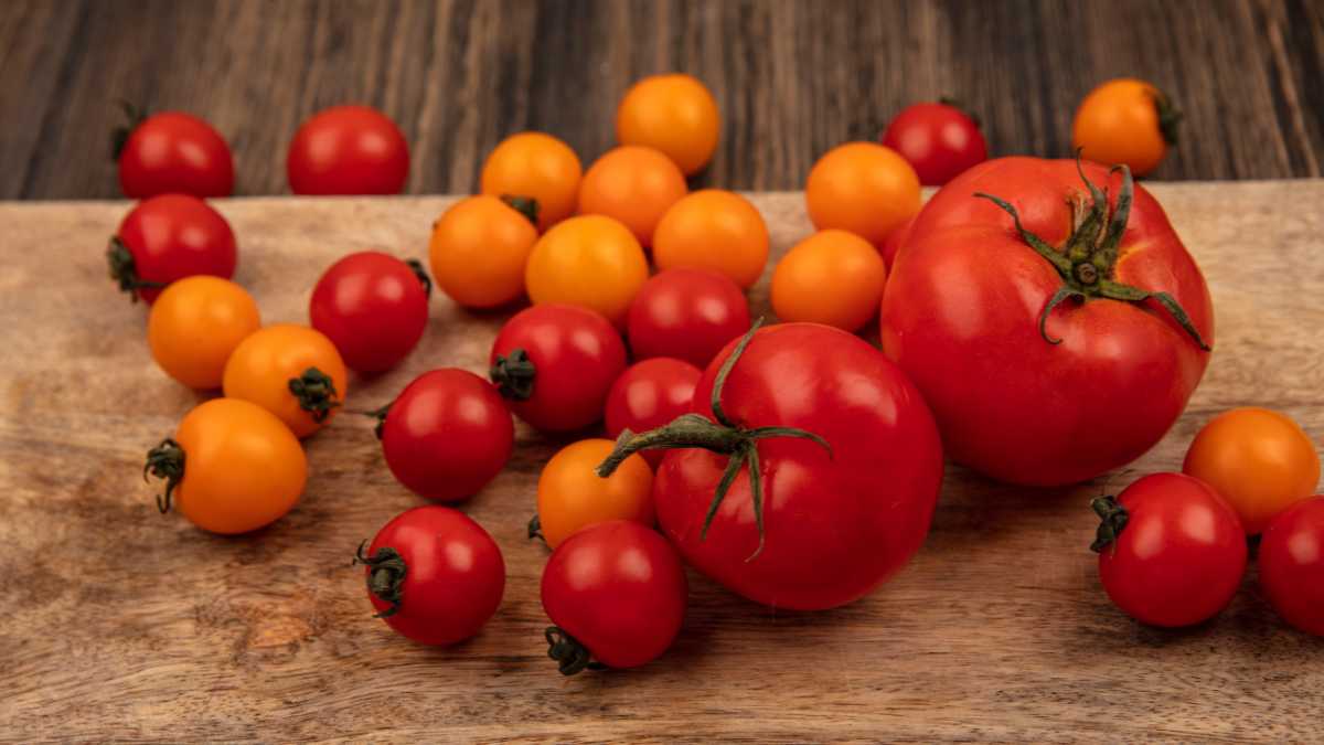 Tomato benefits
