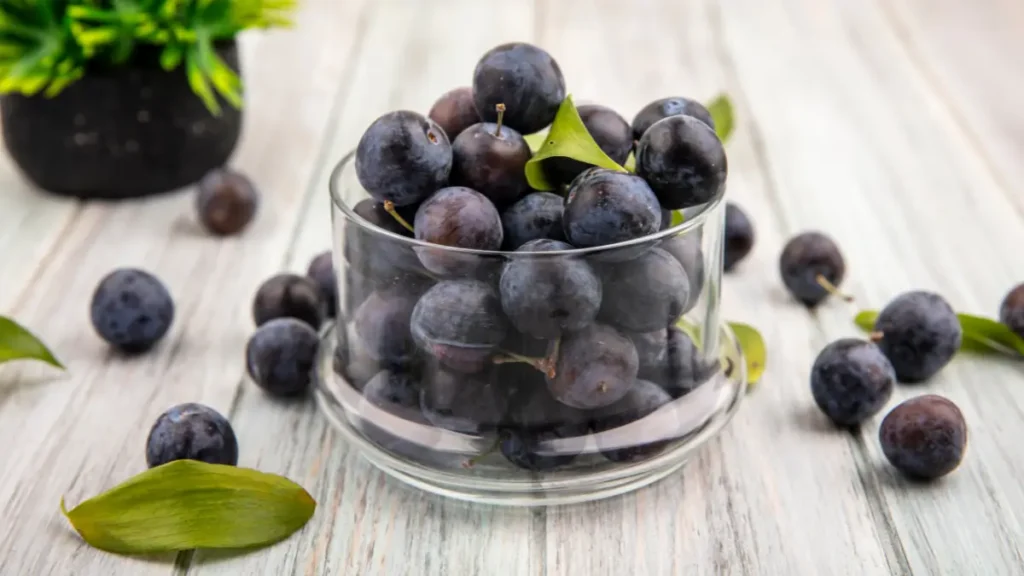 Black plum benefits