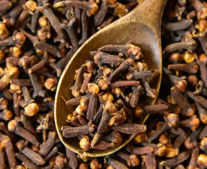 Clove