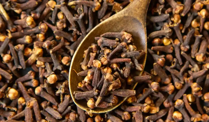 Clove
