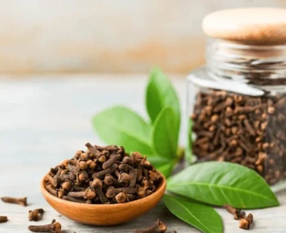 Clove benefits