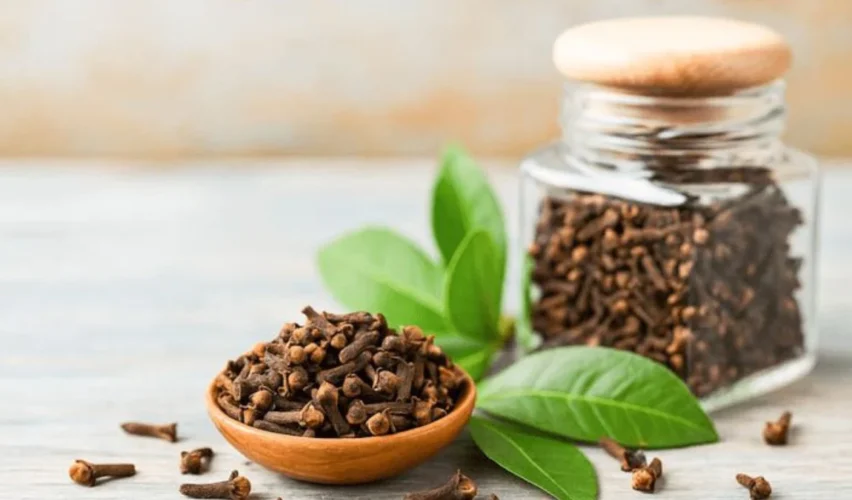 Clove benefits
