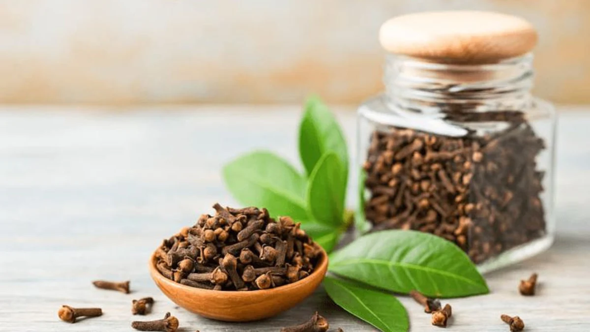 Clove benefits