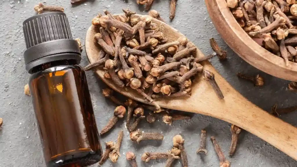 Clove oil