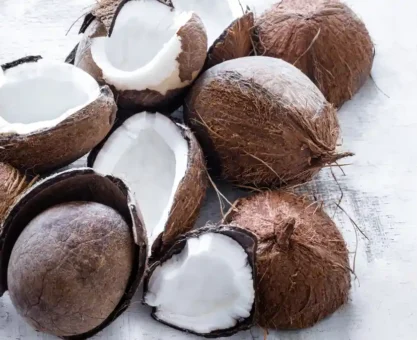 Coconut