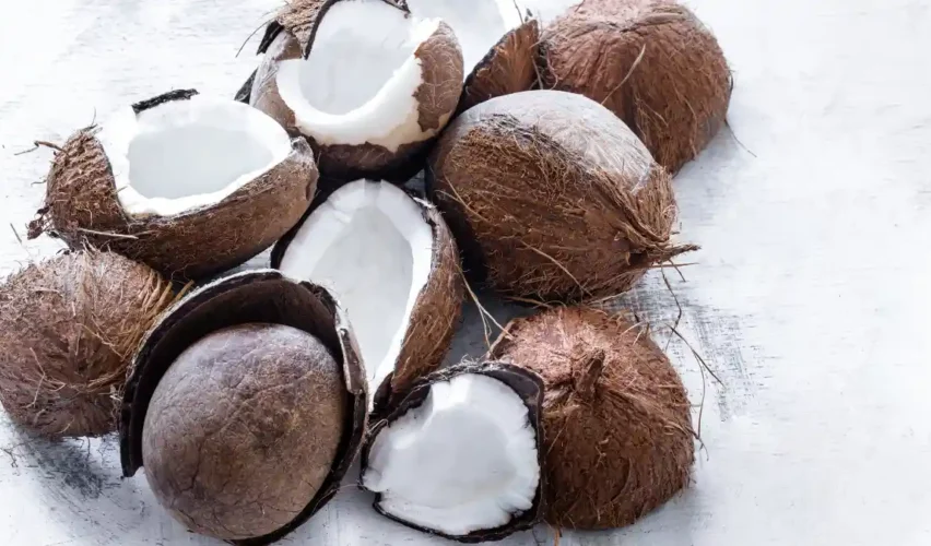 Coconut