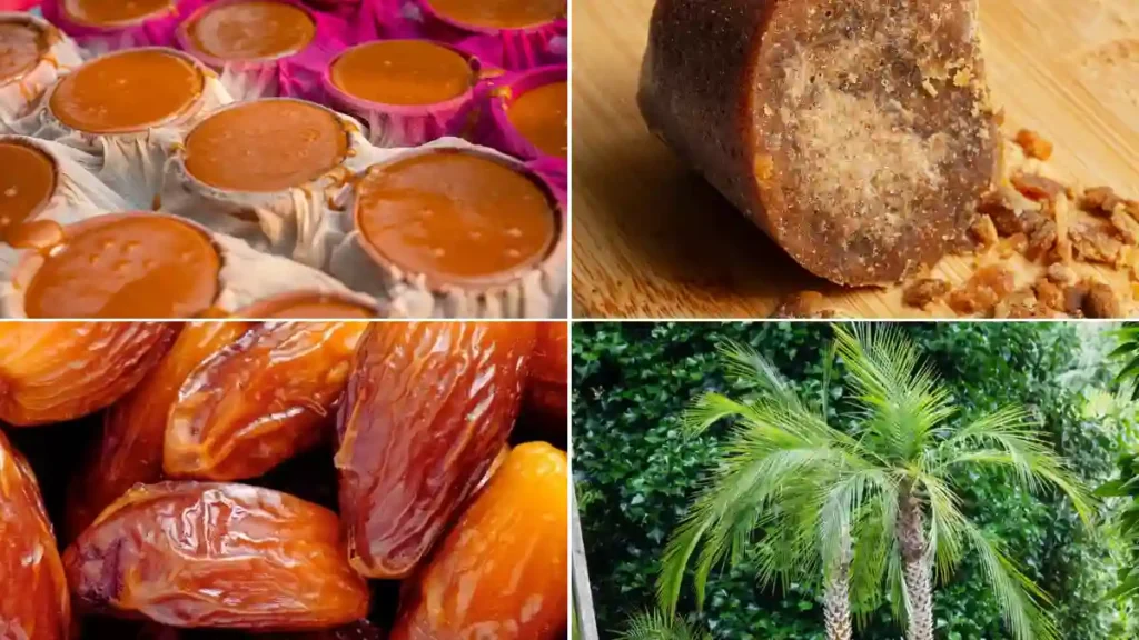 Date palm jaggery