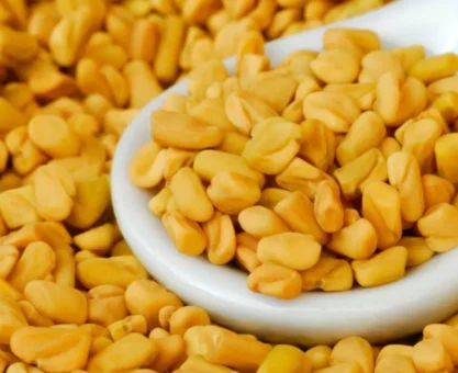 Fenugreek