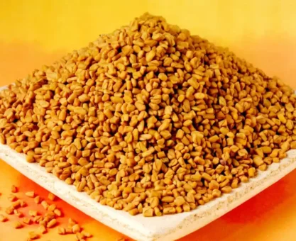 Fenugreek benefits