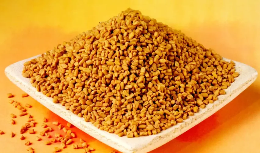 Fenugreek benefits