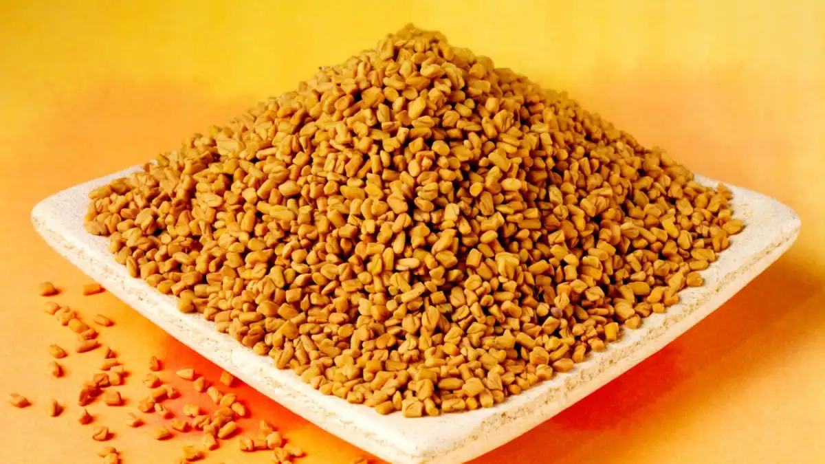 Fenugreek benefits
