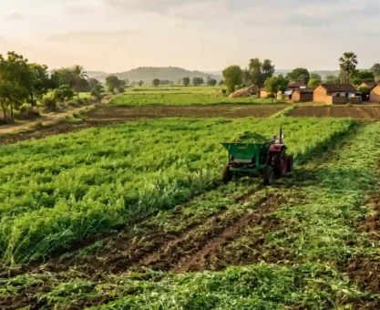 Green manure