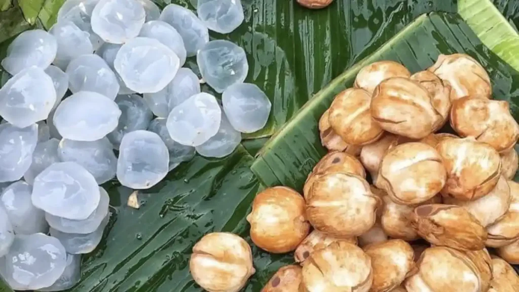 Is ice apple good for health