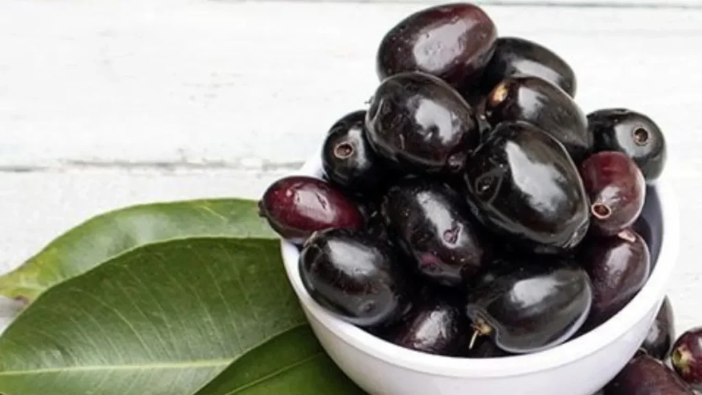 Java plum