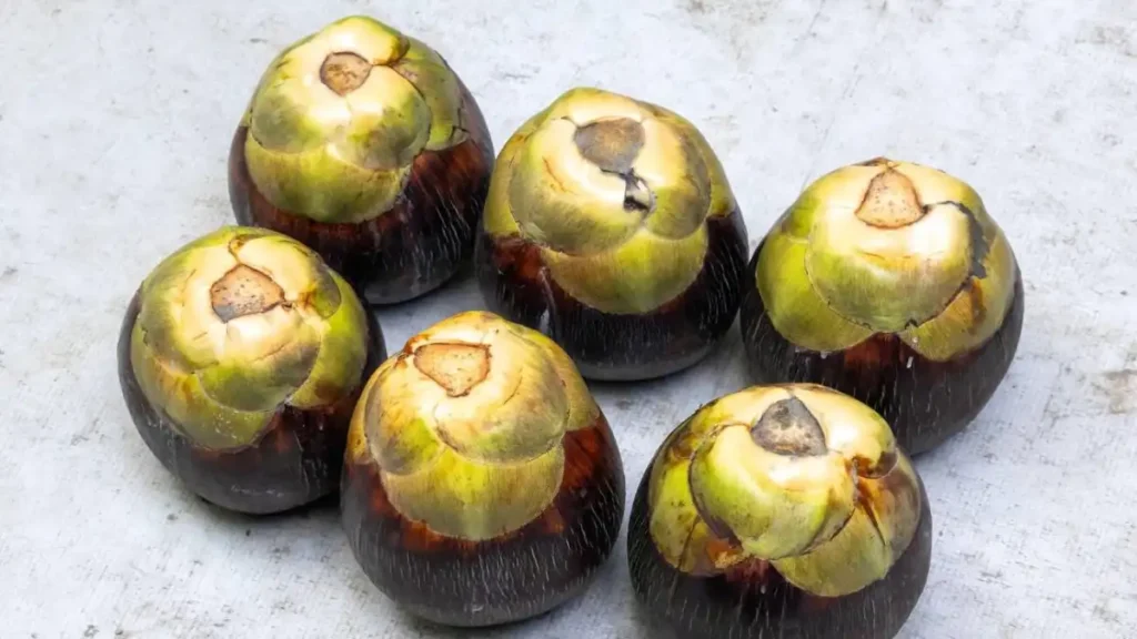 Palm tree fruit