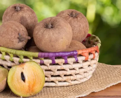 Sapota benefits