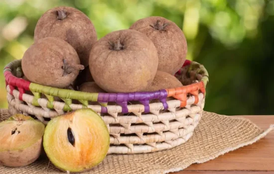 Sapota benefits