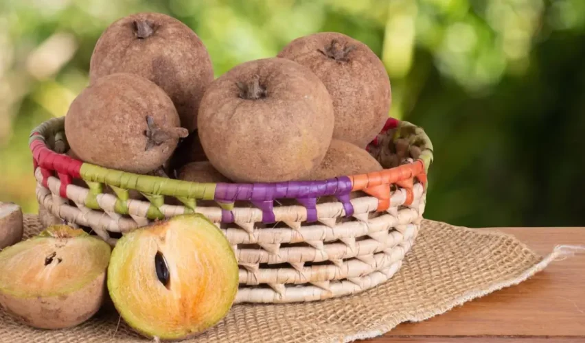 Sapota benefits