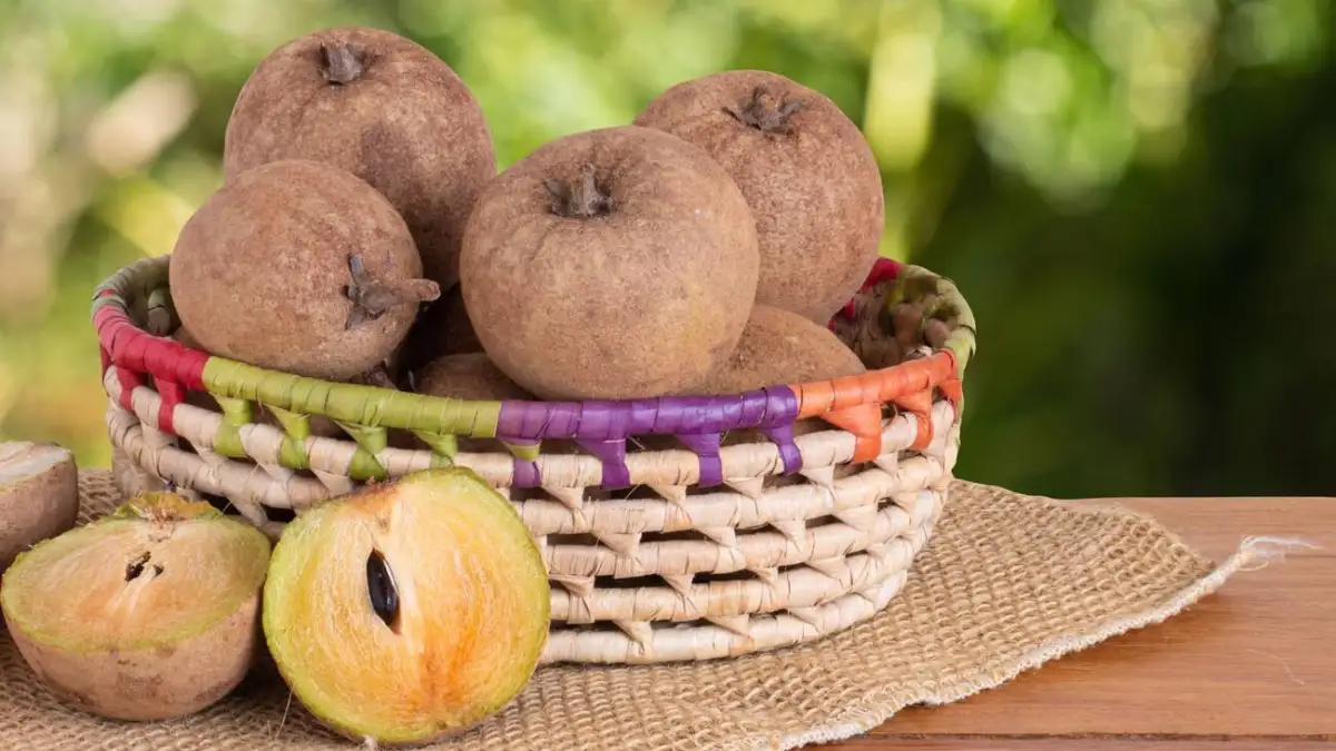 Sapota benefits